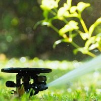 Outdoor Water Use Restrictions - Thumbnail