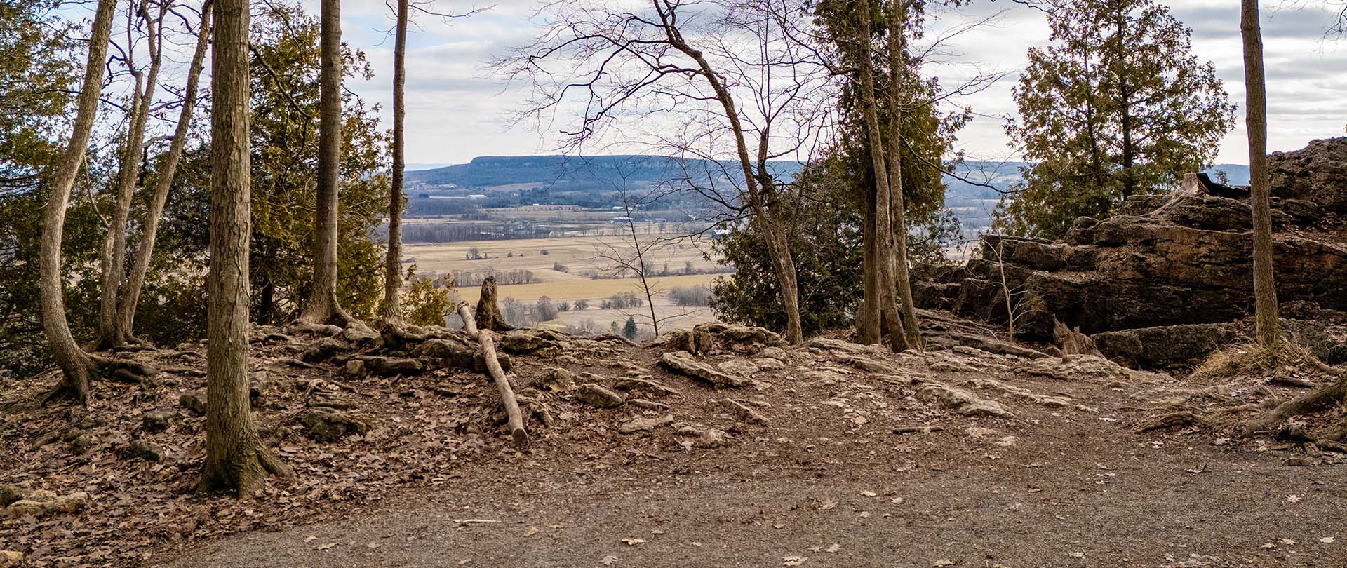 A trail in Halton Hills with a view of the escarpment.