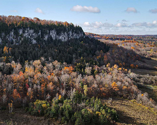 Fall leaves and foliage on the Niagara Escarpment in Milton, Ontario.